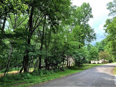 37 Wolf River Ln unit 37, Lake Lure, NC 28746 - photo 5