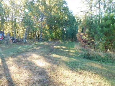 91.1 Acr Elkhorn Rd, Java, VA 24565 - photo 4