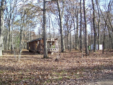 2596 W Oakwood Blvd, Merrill Township, MI 49309 - photo 2