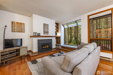 10500 Mt Baker Hwy unit 815, Deming, WA 98244 - photo 2