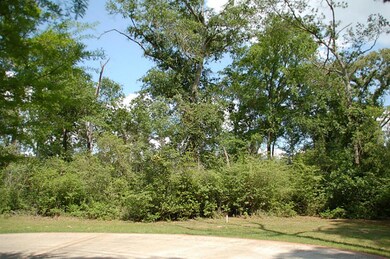 22803 Rosehurst Dr, Tomball, TX 77377 - photo 3