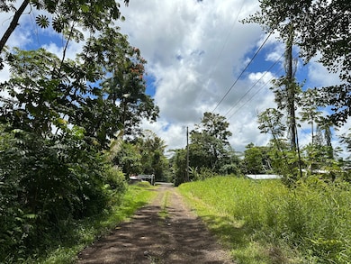 Looking down Holiday Rd towards Kehua, lot is on the left.