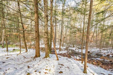 505 Shirley Hill Rd unit A, Goffstown, NH 03045 - photo 6