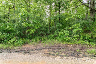 00 Red Fox Rd, Hardy, AR 72542 - photo 4