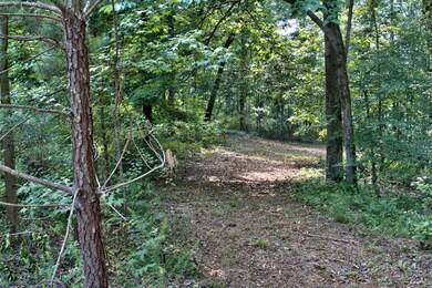 1190 Waterstone Dr, Madison, GA 30650 - photo 4