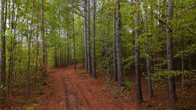 5440 Old Milton Rd, Clinton, SC 29325 - photo 4