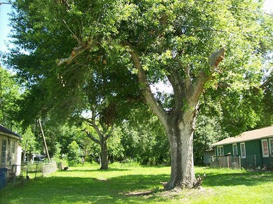 2816 Old Richmond Rd, Rosenberg, TX 77471 - photo 7