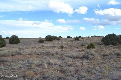 4509 Appaloosa 009