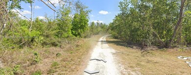 3007 Cacao Rd, Lake Placid, FL 33852 - photo 5