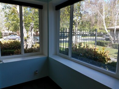 Living Room Windows