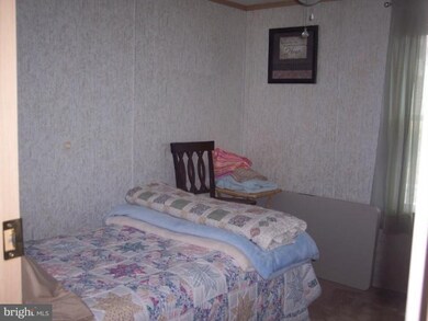 10741 Horseshoe Ln, Worton, MD 21678 - photo 5