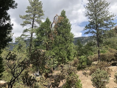 54751 Wildwood Dr, Idyllwild-Pine Cove, CA 92549 - photo 5