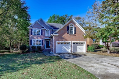 7 Sienna Ct, Chapin, SC 29036 - photo 3