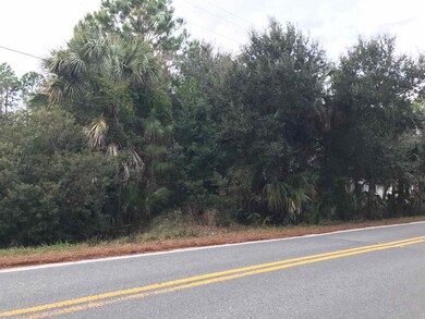 0 Shell Point Rd unit 1 289208, Crawfordville, FL 32327 - photo 2