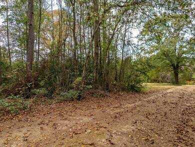 TBD State Highway 155, Big Sandy, TX 75755 - photo 6