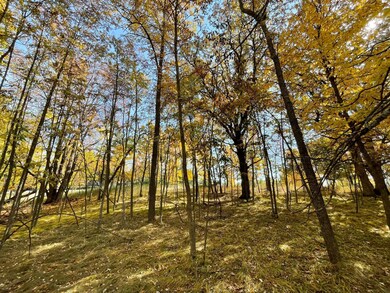 West Side of Lot - Privacy