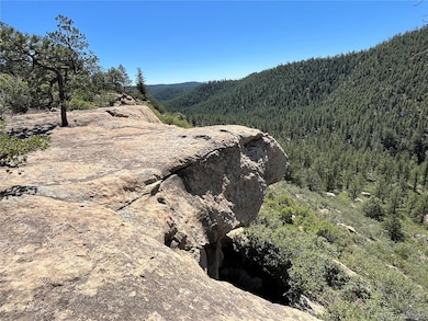 14200 County Rd 28 8, Weston, CO 81091 - photo 3