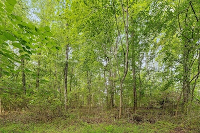 2727 Old Tilton Rd SE, Dalton, GA 30721 - photo 7