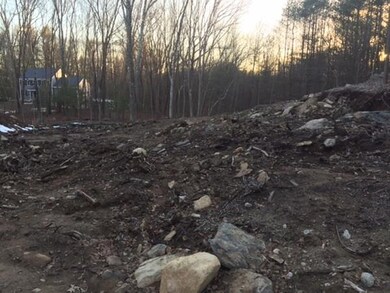 2 West St, Wrentham, MA 02093 - photo 4