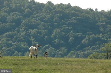 38 Lyle Ln, Amissville, VA 20106 - photo 5