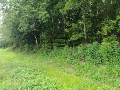 9785 E Deep Creek Blvd, Hastings, FL 32145 - photo 5