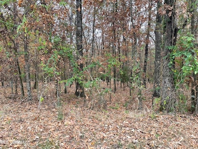 No Old Fannin Rd, Jackson, MS 39232 - photo 3