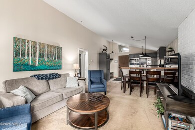 903 N Frontage Rd W unit 9, Vail, CO 81657 - photo 2