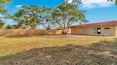 Back yard(1)