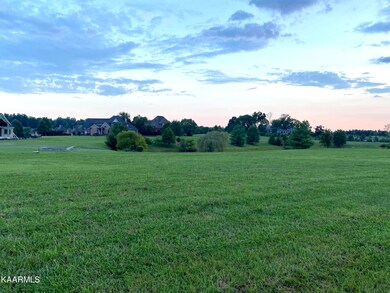 View facing back of lot