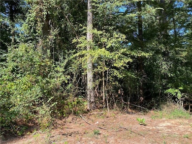 000 Lakewood Way NE, Conyers, GA 30012 - photo 5