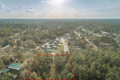xxx Metcalf Rd, Crawfordville, FL 32327 - photo 4