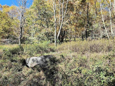 22 E Meadows Rd, Harman, WV 26270 - photo 7