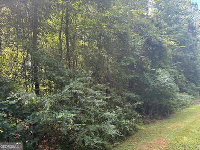 0 Chappell Mill Rd unit 10576810, Milner, GA 30257 - photo 2