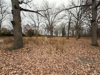 3073 W Dayton St, Flint, MI 48504 - photo 2