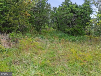 0 Andrews Rd unit VAWR2012442, Strasburg, VA 22657 - photo 5