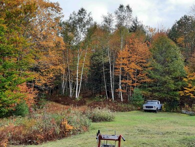 00 Symns Pond Rd, Barnet, VT 05821 - photo 7
