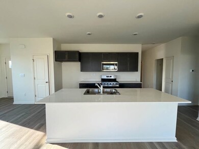 1124 Williamsburg St, Pingree Grove, IL 60140 - photo 5