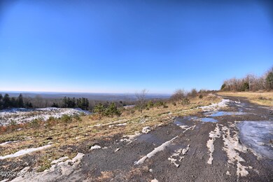 485A0330-HDR(3)