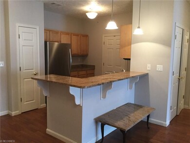 1008 Aqua Marine Blvd unit 46, Avon Lake, OH 44012 - photo 3