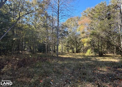 0 County Road 372, Elba, AL 36323 - photo 7