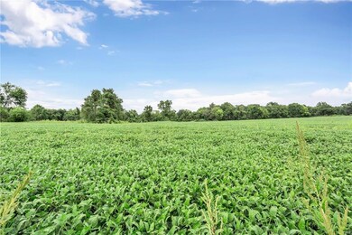 6443 State Route 162, Maryville, IL 62062 - photo 5