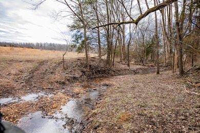 001 Highway H, Pleasant Hope, MO 65725 - photo 3