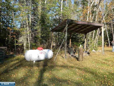 9372 County Road 32w, Loman, MN 56654 - photo 7