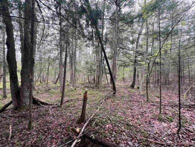 0 Bruette Rd unit 50312014, Wausaukee, City of, WI 54177 - photo 3