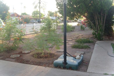 Front landskaping
