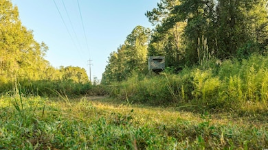 TBD Terrell's Bay Rd, Centenary, SC 29519 - photo 6