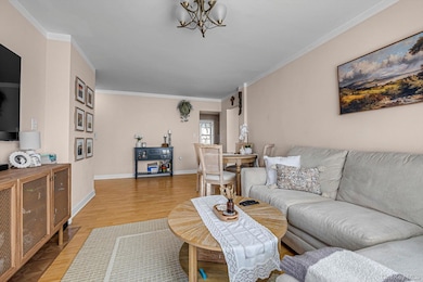 141-45 78th Rd unit 3A, Flushing, NY 11367 - photo 3