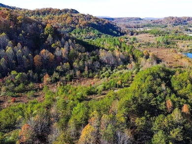 0 White Oak Rd, Duff, TN 37729 - photo 5