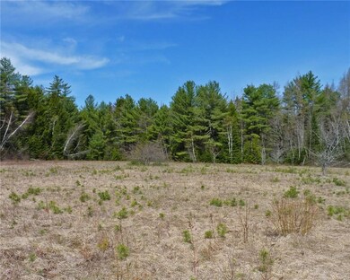 Home sits on 9.87 wooded acres.