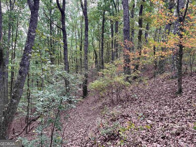 32 Antler Ct unit 2, Ranger, GA 30734 - photo 3